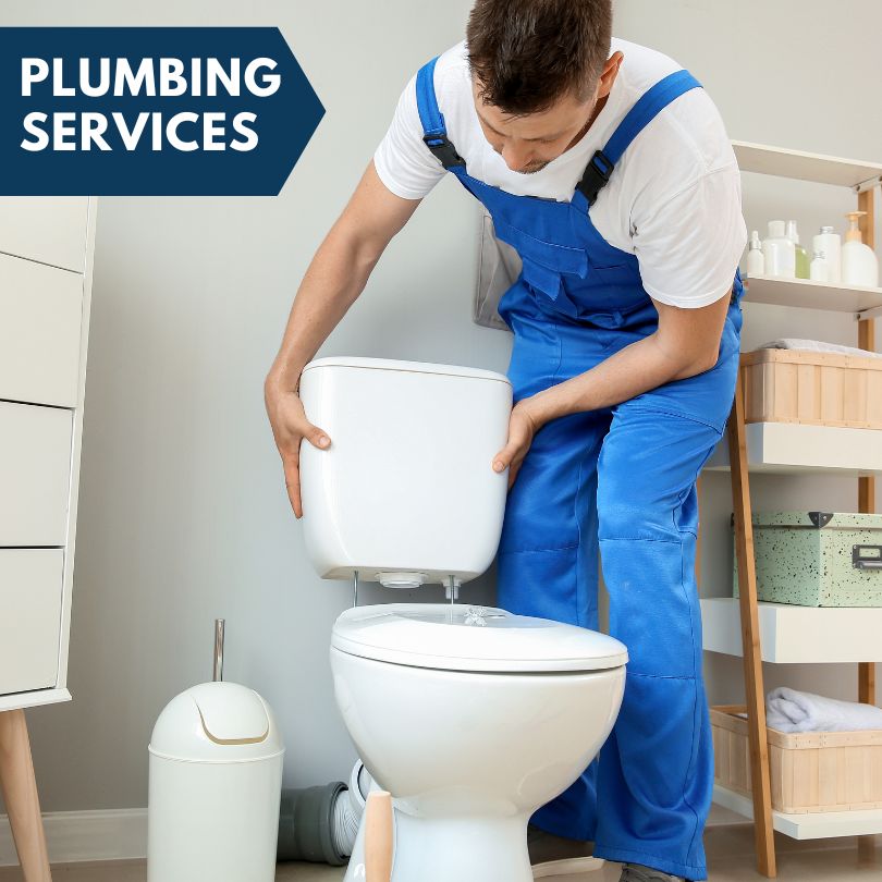Plumbing Company in Papineau, IL